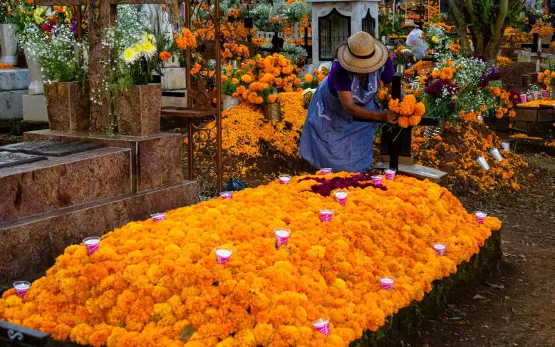 Flores de cempasúchil en una ofrenda tradicional del Día de Muertos